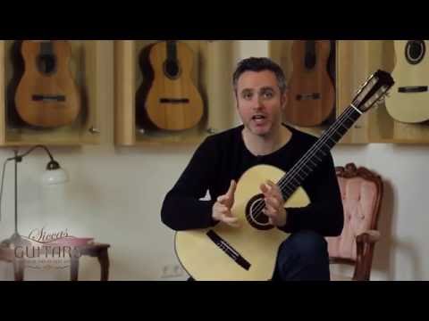 Matthew McAllister about Fingering - Guitar: Armin Hanika 56 PF 2016