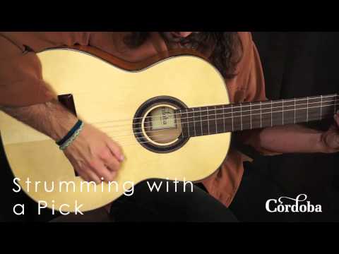 Cordoba Guitars - F7 Flamenco Guitar