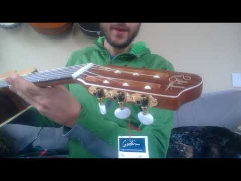 Godin Presentation Guitar Review
