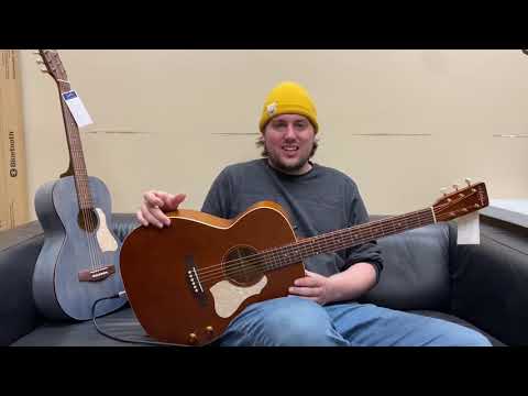 Art &amp; Lutherie Q-Discrete - The Best Passive Acoustic/Electric?