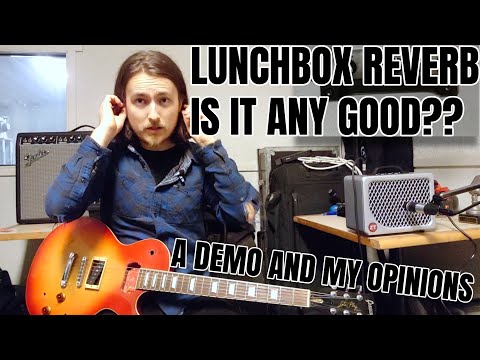 ZT Amplifiers Lunchbox Reverb - Is it any good? Demo/Review