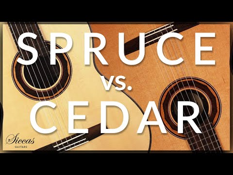 SPRUCE vs CEDAR Classical Guitars Tone Comparison | Klassische Gitarre Fichte oder Zeder?