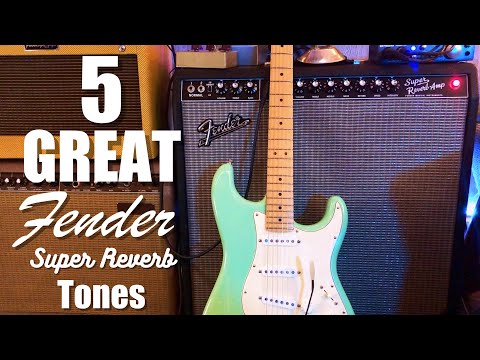 5 Great Fender Super Reverb Tones