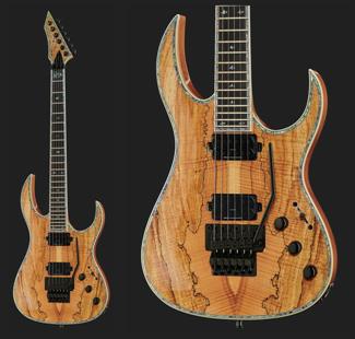 review bc-rich-shredzilla-pro-archtop-fr-sm review bc-rich-shredzilla-pro-archtop-fr-sm