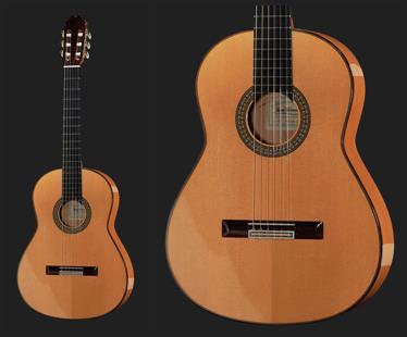 review juan-hernandez-profesor-spruce-flamenca