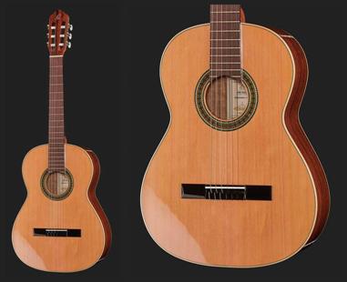 review ortega-r220