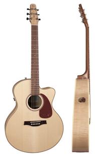 review seagull-performer-mini-jumbo-fm-q1t-nt review seagull-performer-mini-jumbo-fm-q1t-nt