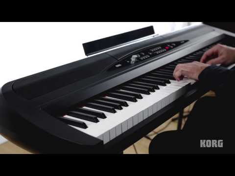Korg SP-280 Digital Piano - Acoustic and Electric Piano Performance