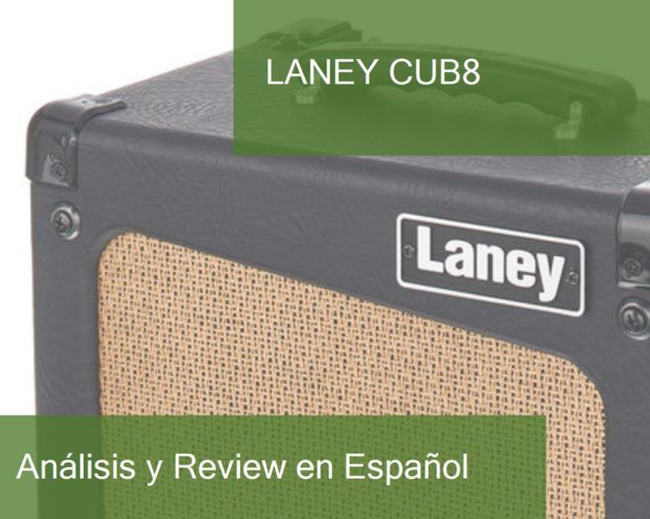 review laney-cub8