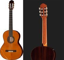 review amalio-burguet-fnegra-dv-spuce-flamenco