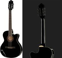 review harley-benton-santos-series-c-40sce-bk review harley-benton-santos-series-c-40sce-bk