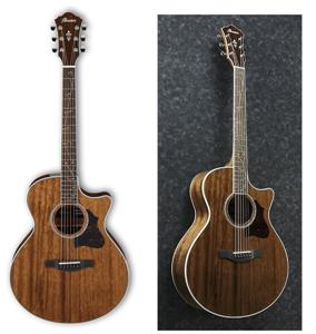 review ibanez-ae245-nt
