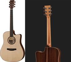 review lakewood-d-31-cp review lakewood-d-31-cp
