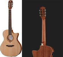 review luna-guitars-heartsong-nylon-usb review luna-guitars-heartsong-nylon-usb
