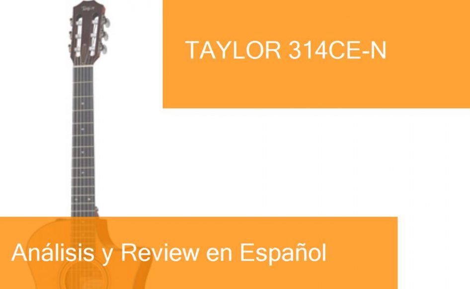 middle-taylor-314ce-n-preview-naranja-blanco-ampliada