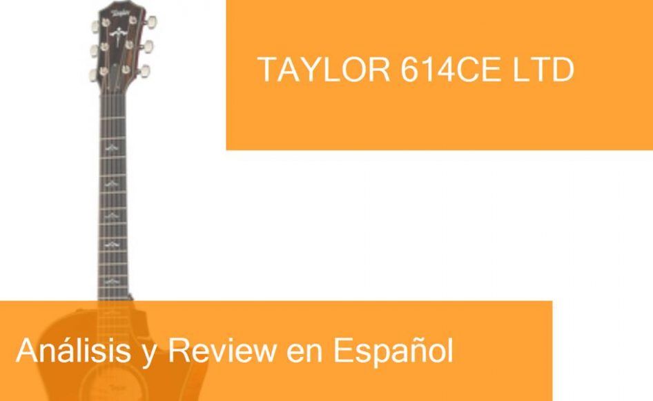 middle-taylor-614ce-ltd-preview-naranja-blanco-ampliada