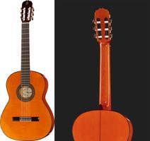 review raimundo-model-126-s-flamenco-spruce review raimundo-model-126-s-flamenco-spruce