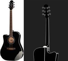 review takamine-ef341sc-lh review takamine-ef341sc-lh