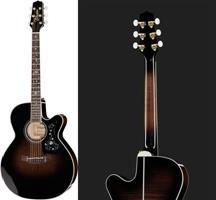 review takamine-ef450cttt-bruce-springsteen