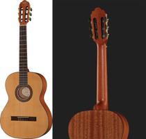 review vgs-pro-arte-cm-100-maestro review vgs-pro-arte-cm-100-maestro