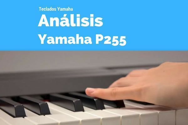 Analisis-y-opinion-del-Yamaha-P255
