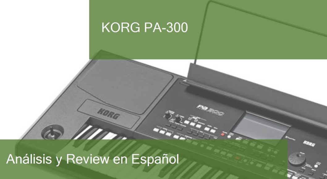 review korg-pa-300