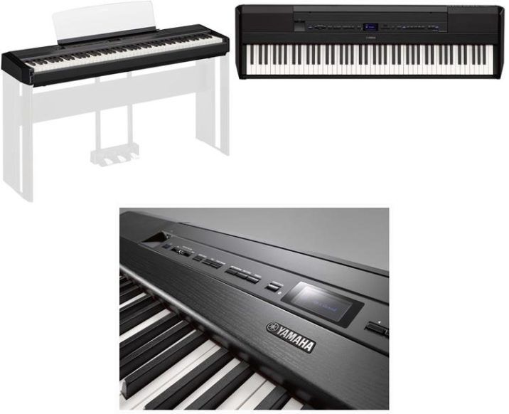 Review y Opinión del Yamaha P-515 y Dónde Comprarlo